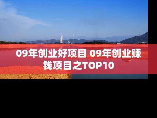 09年创业好项目 09年创业赚钱项目之TOP10