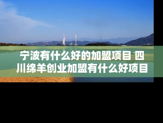 宁波有什么好的加盟项目 四川绵羊创业加盟有什么好项目!