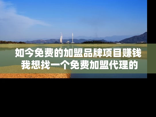 如今免费的加盟品牌项目赚钱 我想找一个免费加盟代理的项目