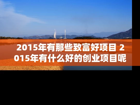 2015年有那些致富好项目 2015年有什么好的创业项目呢