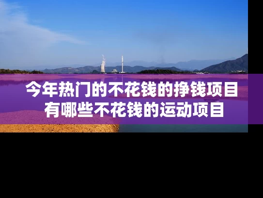 今年热门的不花钱的挣钱项目 有哪些不花钱的运动项目