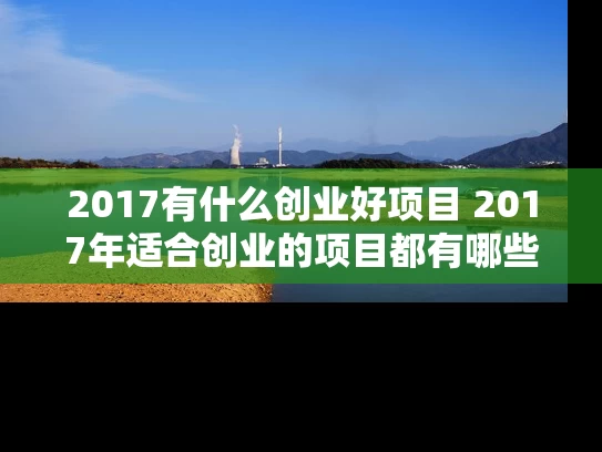 2017有什么创业好项目 2017年适合创业的项目都有哪些