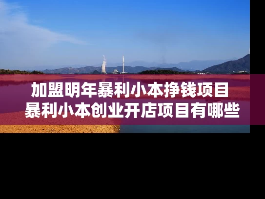 加盟明年暴利小本挣钱项目 暴利小本创业开店项目有哪些