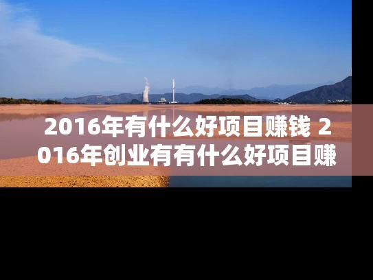 2016年有什么好项目赚钱 2016年创业有有什么好项目赚到钱