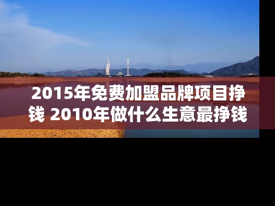 2015年免费加盟品牌项目挣钱 2010年做什么生意最挣钱
