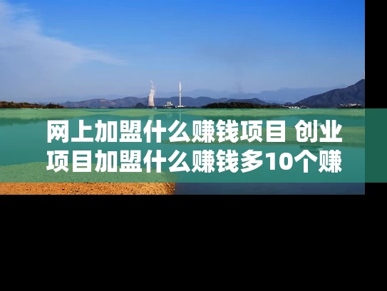 网上加盟什么赚钱项目 创业项目加盟什么赚钱多10个赚钱项目推荐