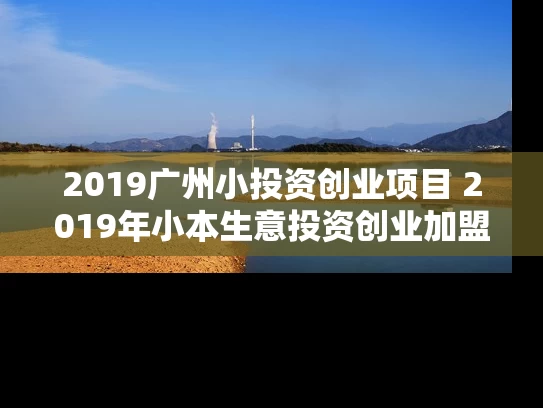 2019广州小投资创业项目 2019年小本生意投资创业加盟项目有哪些