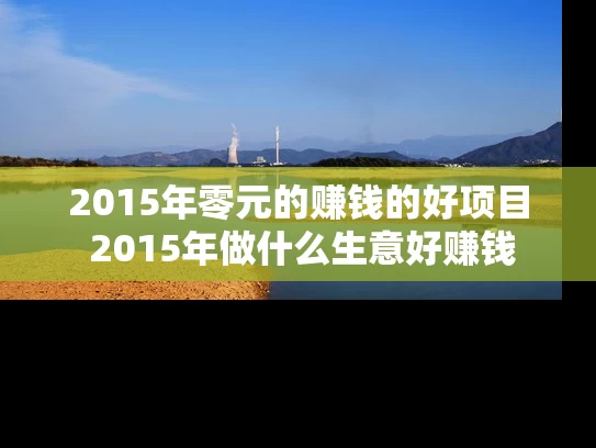 2015年零元的赚钱的好项目 2015年做什么生意好赚钱