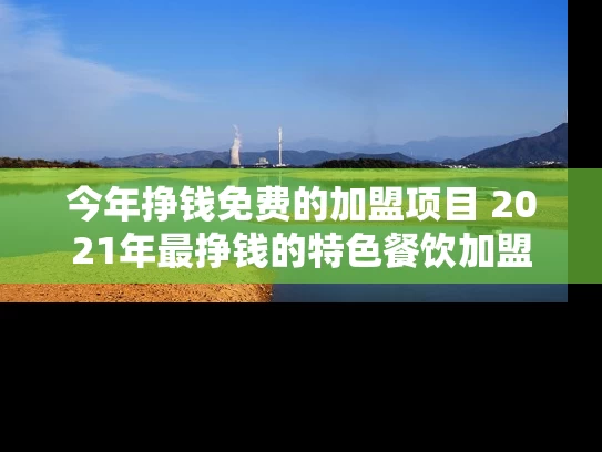 今年挣钱免费的加盟项目 2021年最挣钱的特色餐饮加盟项目推荐
