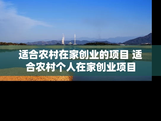 适合农村在家创业的项目 适合农村个人在家创业项目