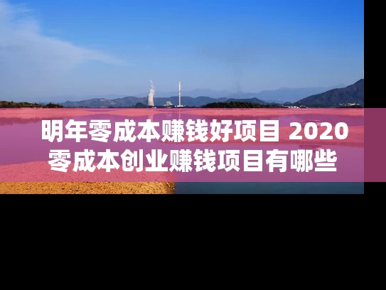 明年零成本赚钱好项目 2020零成本创业赚钱项目有哪些