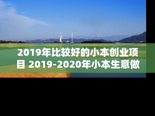 2019年比较好的小本创业项目 2019-2020年小本生意做什么好有前景的创业项目