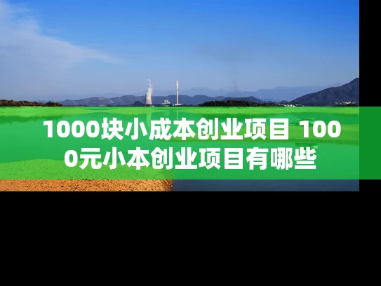 1000块小成本创业项目 1000元小本创业项目有哪些
