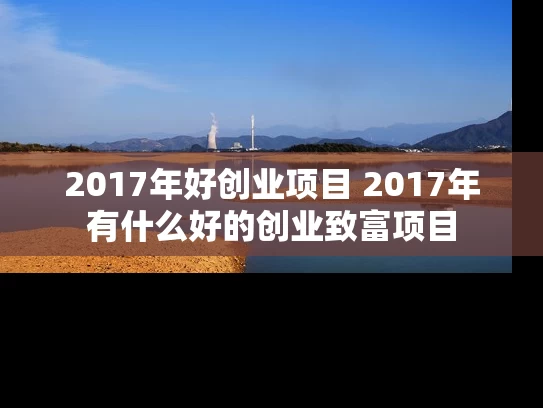 2017年好创业项目 2017年有什么好的创业致富项目