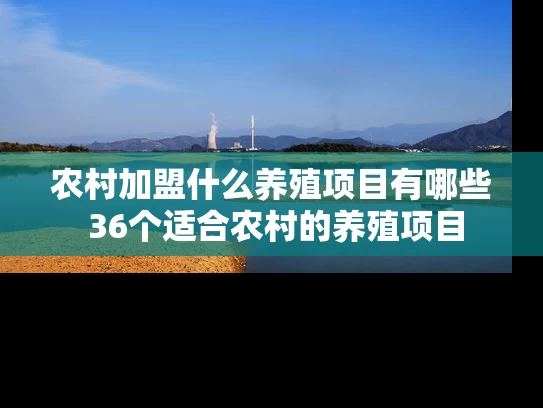 农村加盟什么养殖项目有哪些 36个适合农村的养殖项目