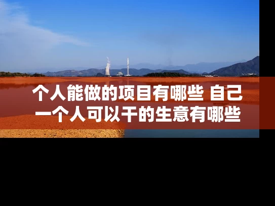 个人能做的项目有哪些 自己一个人可以干的生意有哪些