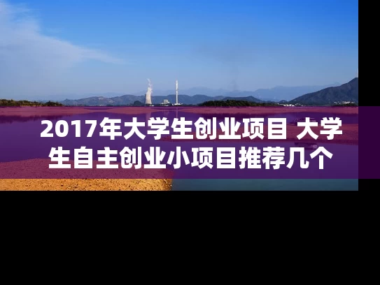 2017年大学生创业项目 大学生自主创业小项目推荐几个
