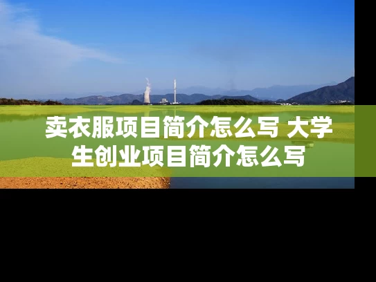 卖衣服项目简介怎么写 大学生创业项目简介怎么写