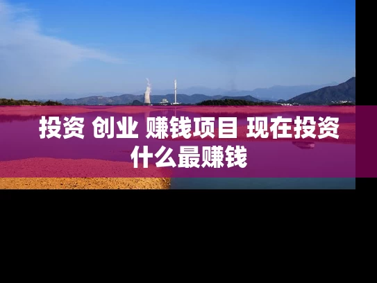 投资 创业 赚钱项目 现在投资什么最赚钱
