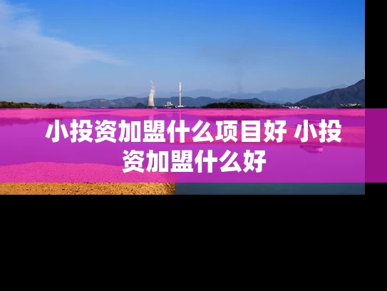 小投资加盟什么项目好 小投资加盟什么好