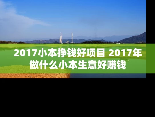 2017小本挣钱好项目 2017年做什么小本生意好赚钱
