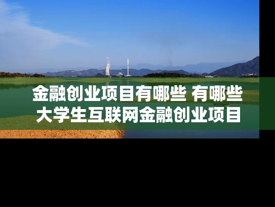 金融创业项目有哪些 有哪些大学生互联网金融创业项目