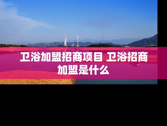 卫浴加盟招商项目 卫浴招商加盟是什么