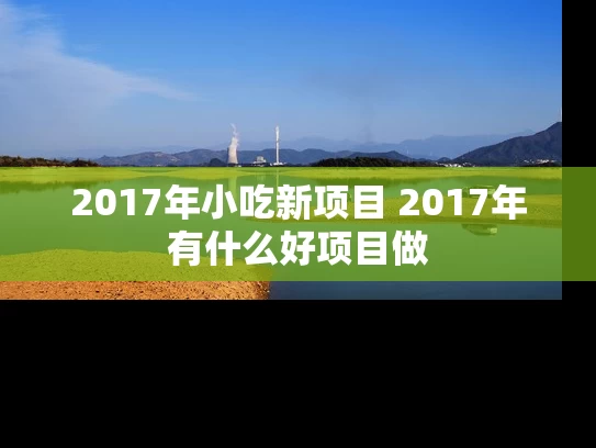 2017年小吃新项目 2017年有什么好项目做