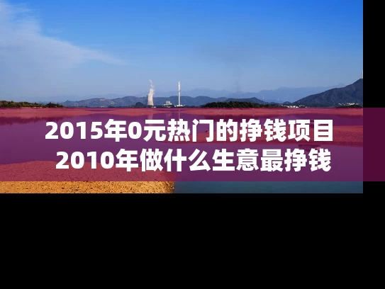 2015年0元热门的挣钱项目 2010年做什么生意最挣钱