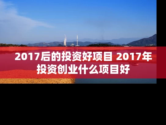 2017后的投资好项目 2017年投资创业什么项目好