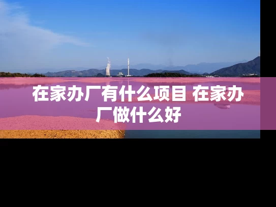 在家办厂有什么项目 在家办厂做什么好