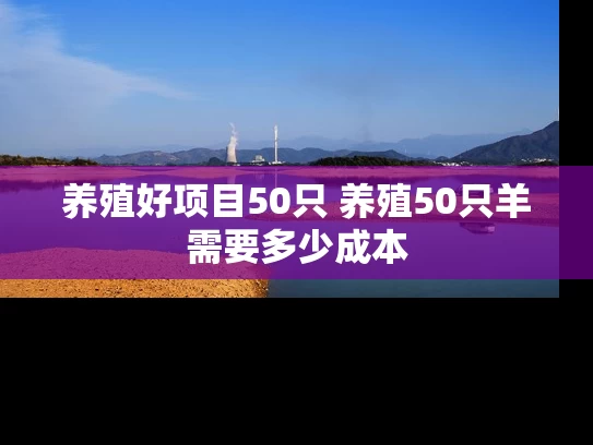 养殖好项目50只 养殖50只羊需要多少成本