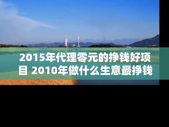 2015年代理零元的挣钱好项目 2010年做什么生意最挣钱