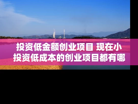 投资低金额创业项目 现在小投资低成本的创业项目都有哪些