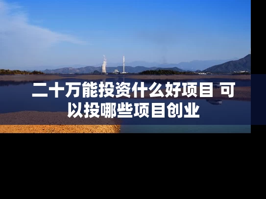 二十万能投资什么好项目 可以投哪些项目创业