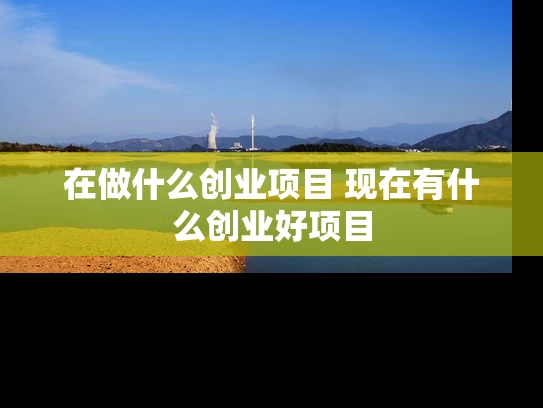 在做什么创业项目 现在有什么创业好项目