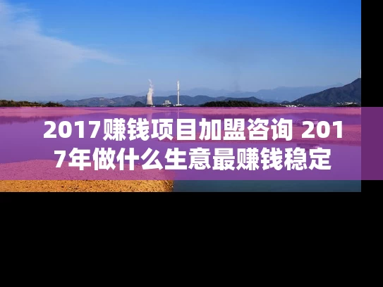 2017赚钱项目加盟咨询 2017年做什么生意最赚钱稳定