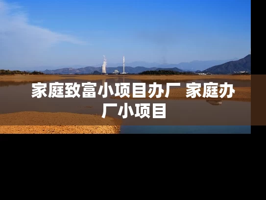 家庭致富小项目办厂 家庭办厂小项目