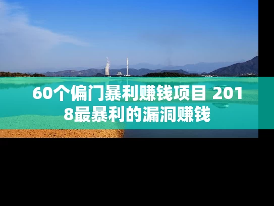 60个偏门暴利赚钱项目 2018最暴利的漏洞赚钱