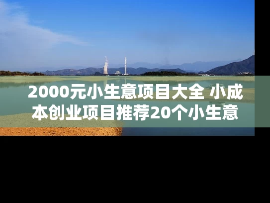 2000元小生意项目大全 小成本创业项目推荐20个小生意项目