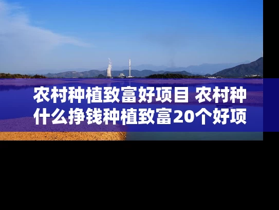 农村种植致富好项目 农村种什么挣钱种植致富20个好项目