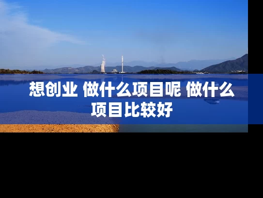 想创业 做什么项目呢 做什么项目比较好
