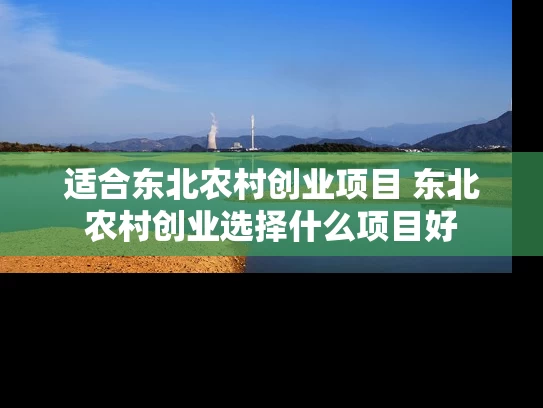 适合东北农村创业项目 东北农村创业选择什么项目好