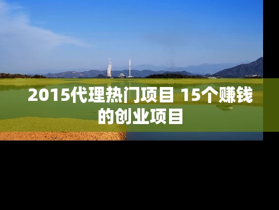 2015代理热门项目 15个赚钱的创业项目