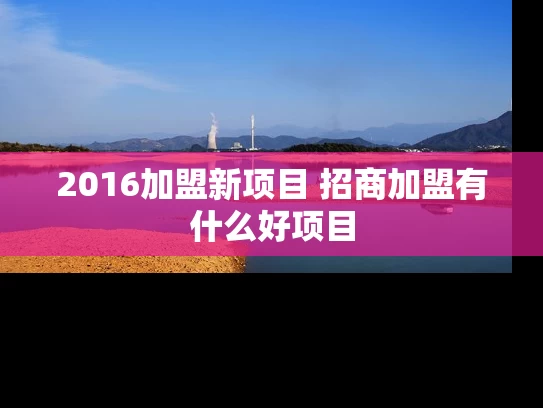 2016加盟新项目 招商加盟有什么好项目