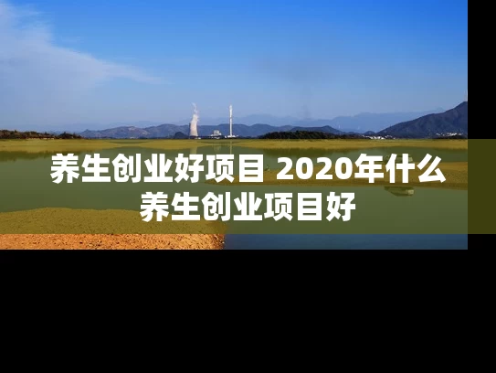 养生创业好项目 2020年什么养生创业项目好