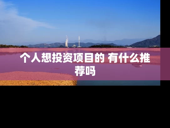 个人想投资项目的 有什么推荐吗