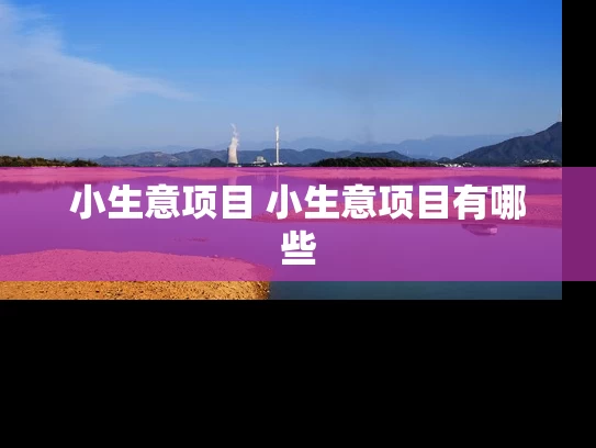 小生意项目 小生意项目有哪些