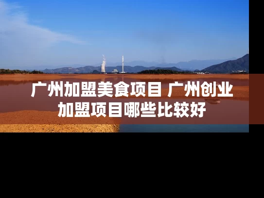 广州加盟美食项目 广州创业加盟项目哪些比较好