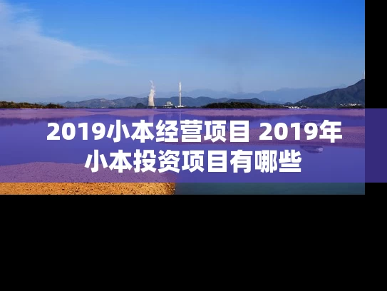 2019小本经营项目 2019年小本投资项目有哪些